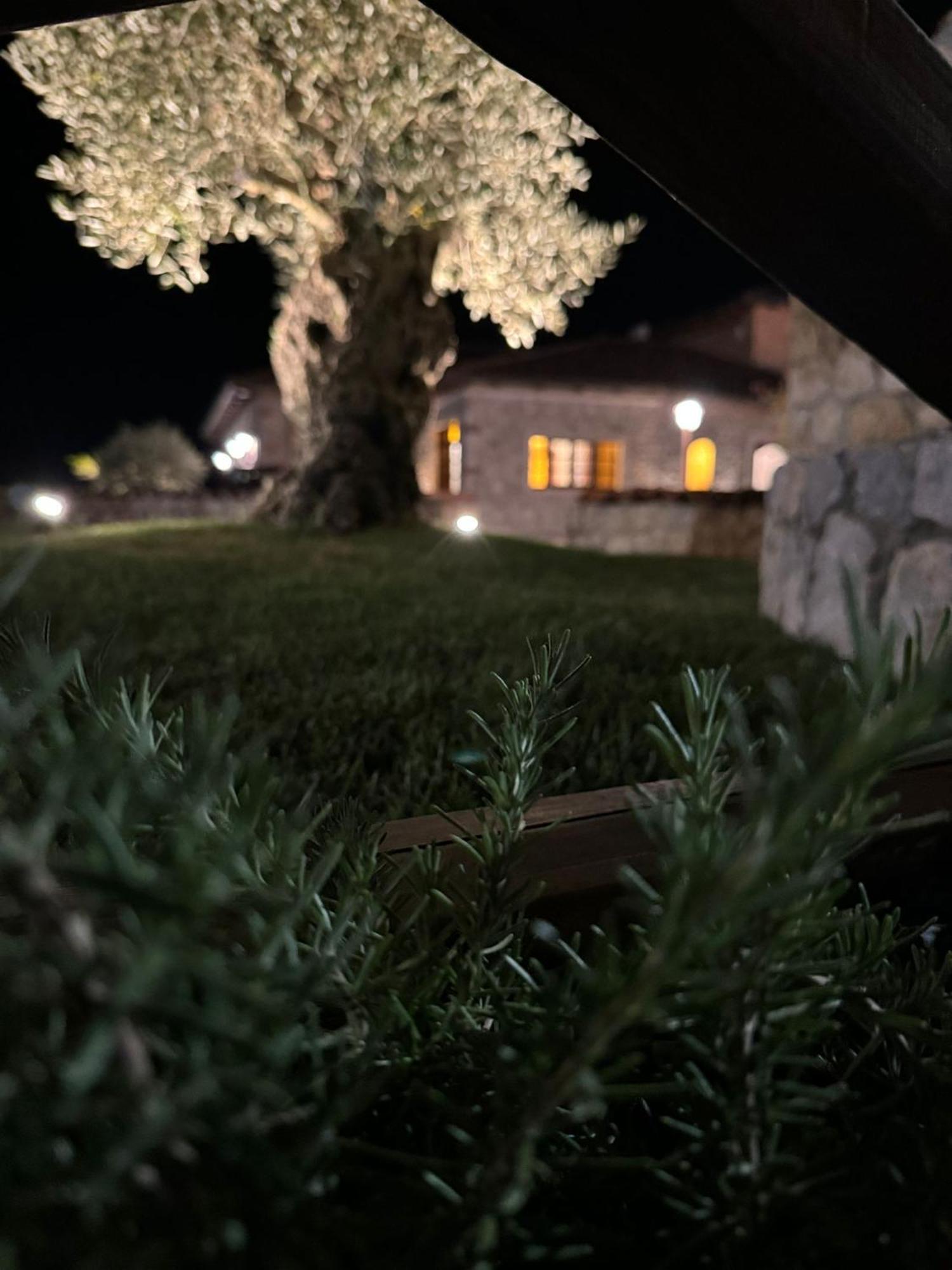 Tenuta Rosa - Gastronomia E Relax Montesano Scalo Exteriér fotografie